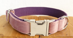 Elevate Your Daily Walks with Our Pet Collar and Leash Set
