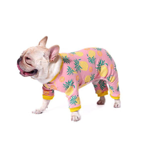 Cotton Stretch Pet Apparel: Comfort Meets Style for Your Furry Friends