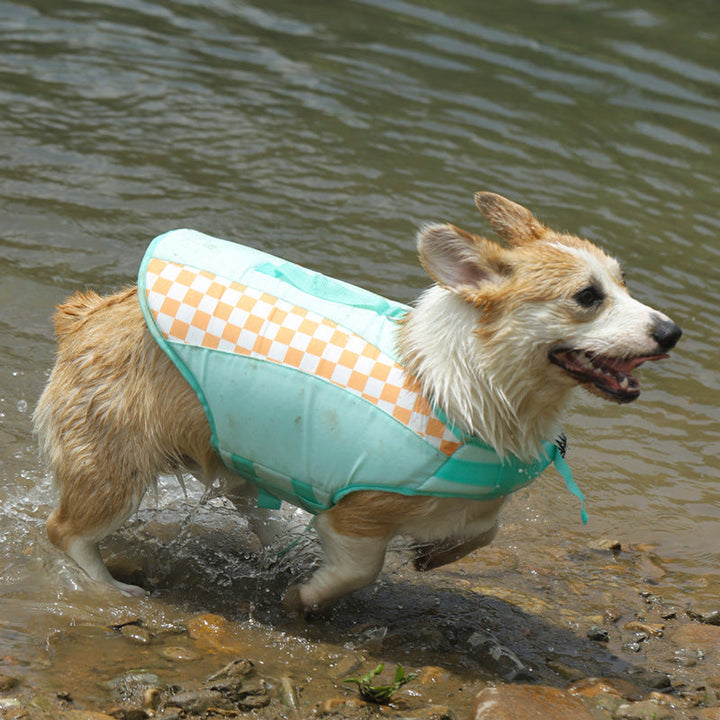 Get Your Pup Ready for Summer Adventures with Our Stylish Corgi and Golden Retriever Clothes!