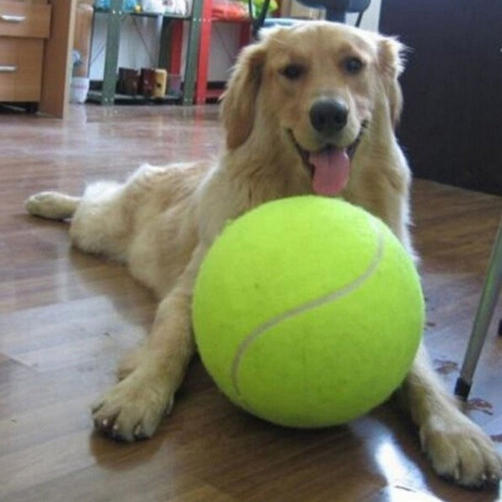 Unleash the Fun with Our Dog Durable And Fun Rubber Molar Tennis!