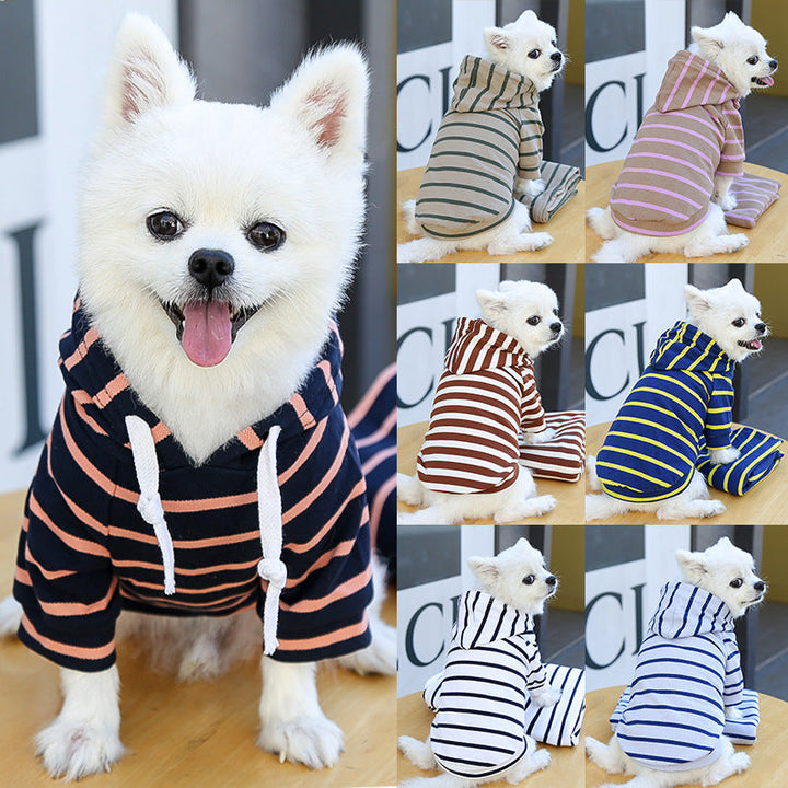 Why Your Pet Needs a Hoodie Right Now!