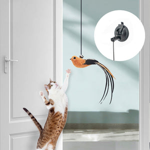 Why Your Cat Needs the Hanging Door Toy Hanging Cat Teaser