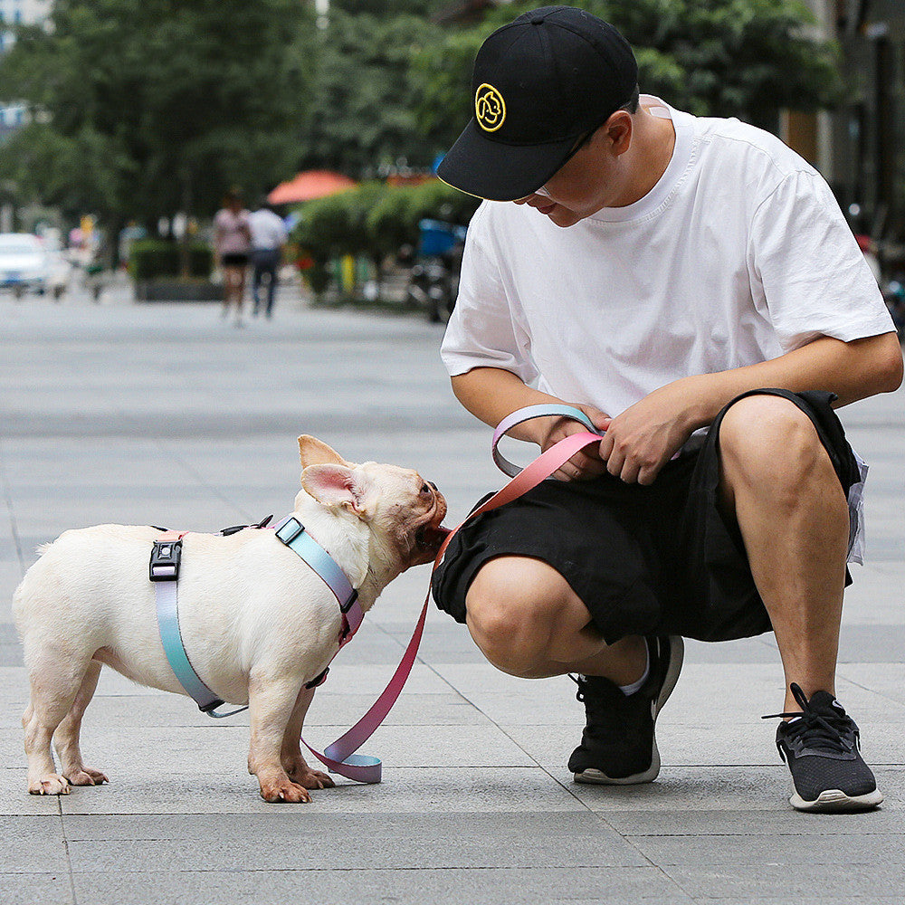 Elevate Your Walking Experience with Our Adjustable Pet Leash