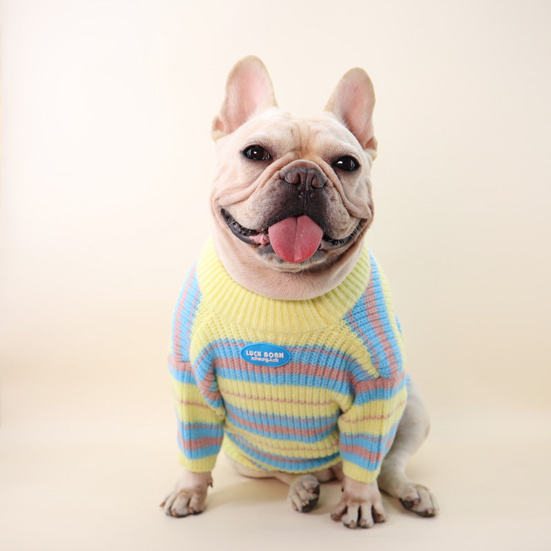 Keep Your Pet Cozy This Autumn and Winter