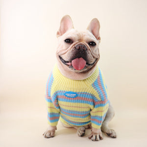 Keep Your Pet Cozy This Autumn and Winter
