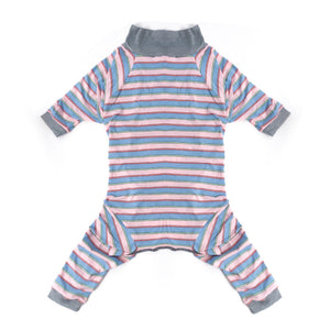 Elevate Your Pet's Comfort with Our Recovery Suit