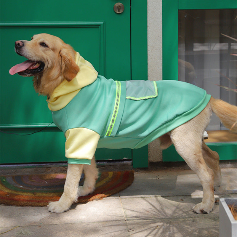 Why Your Pet Deserves the Best: Discover the Large Size Pet Sweater