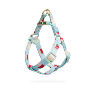 Fashionable Y Shaped Pet Harness With Leash Set