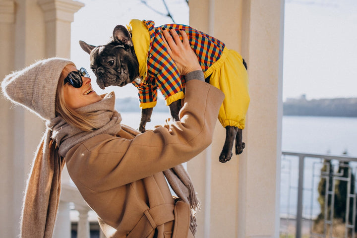 Dressing Pets for Comfort and Style