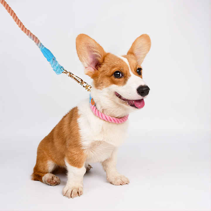 Woven Cotton Pet Leash And Collar Matching Set
