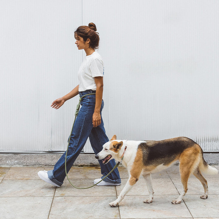 Minimalist Fashion Pet Leash Adjustable Crossbody Style
