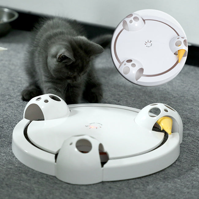 Automatic Electric Pet Toy Wheel With Interactive Turntable Play