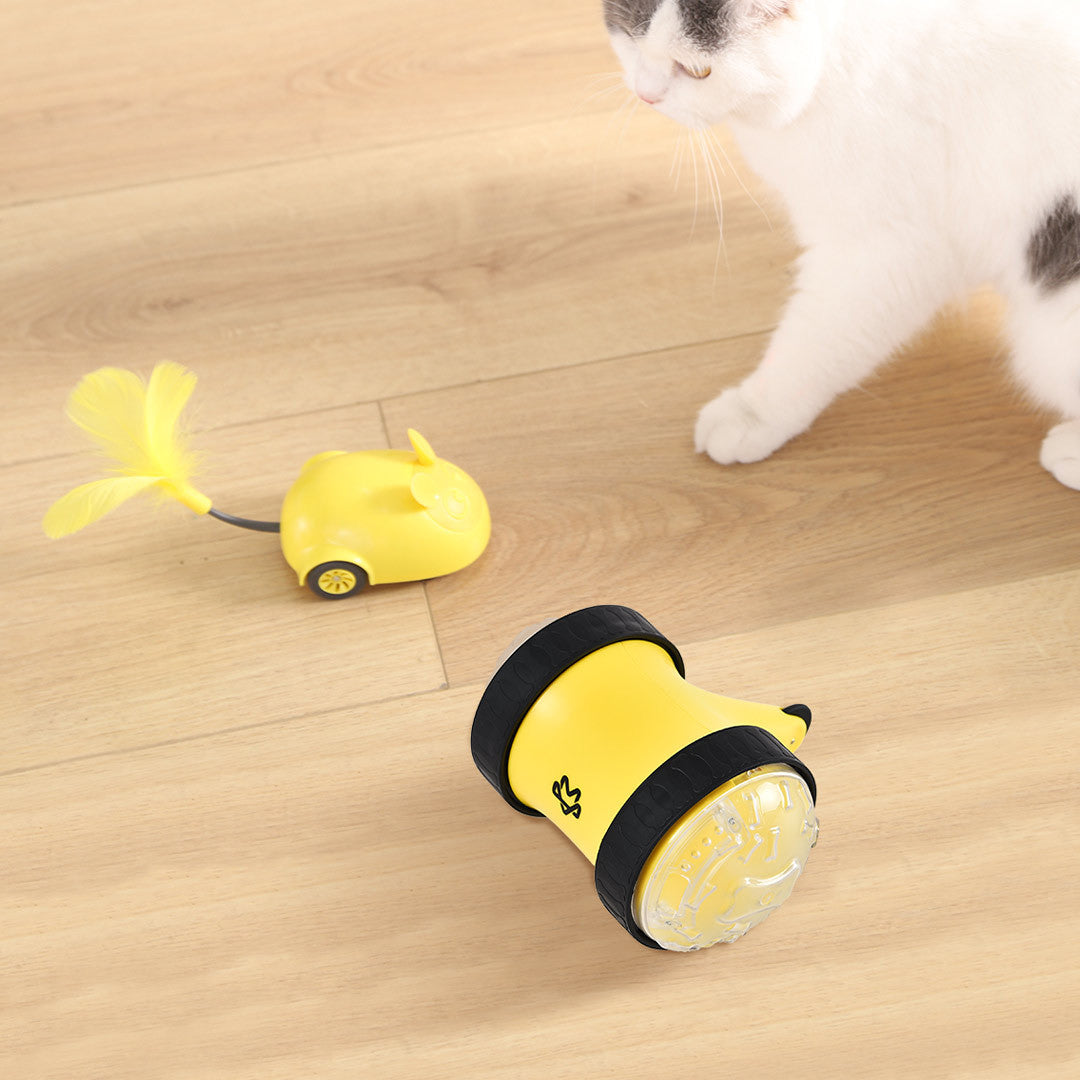 Remote Control Pet Treat Dispensing Toy Car
