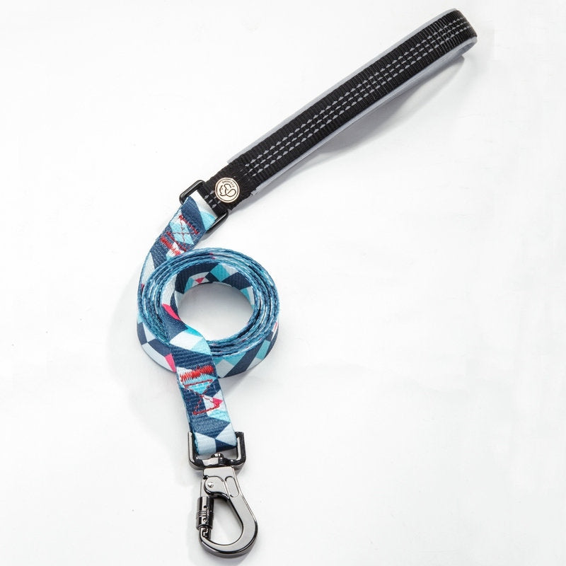Pet Leash Durable Everyday Walking Accessory