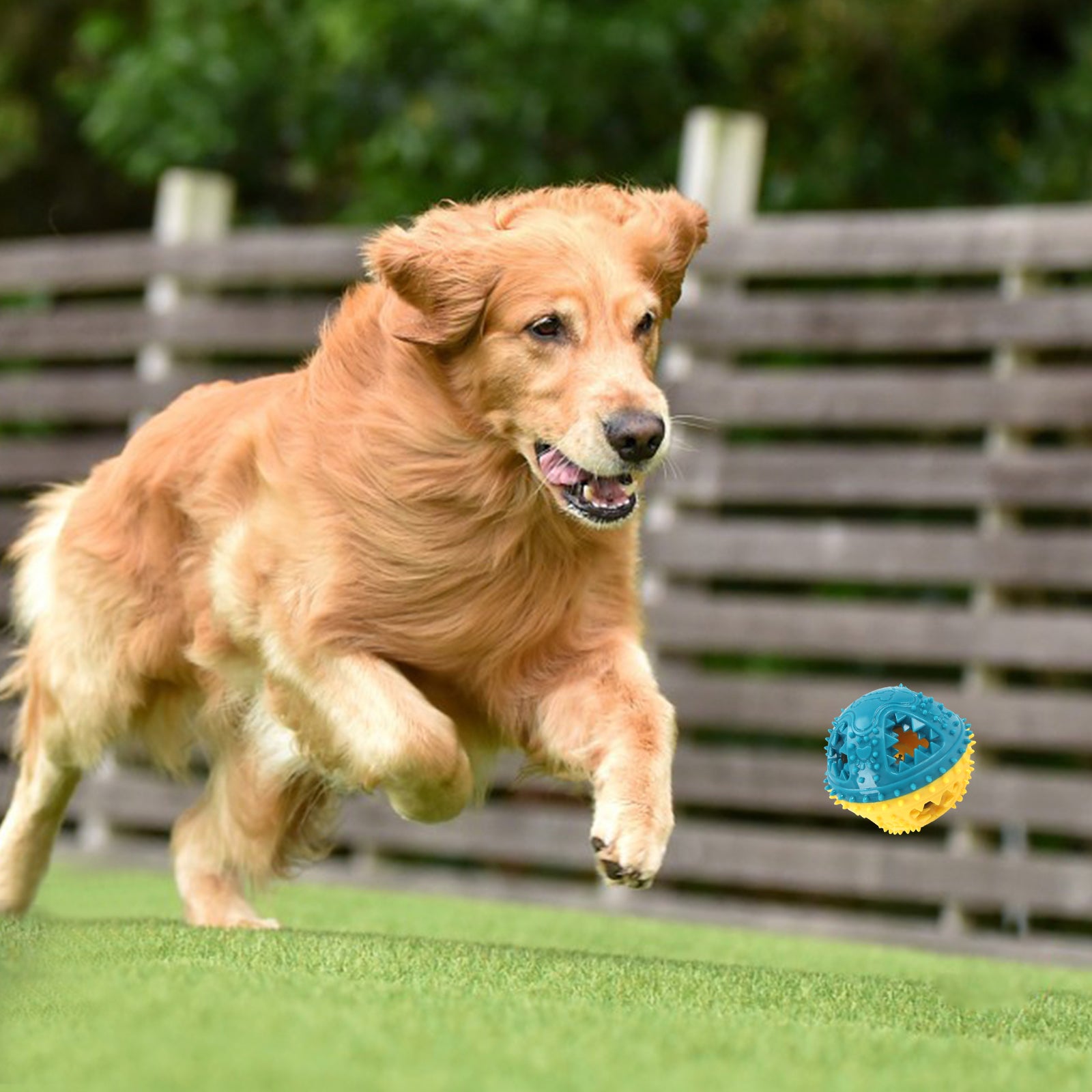 Interactive Pet Chew Ball Toy For Teeth Cleaning Training