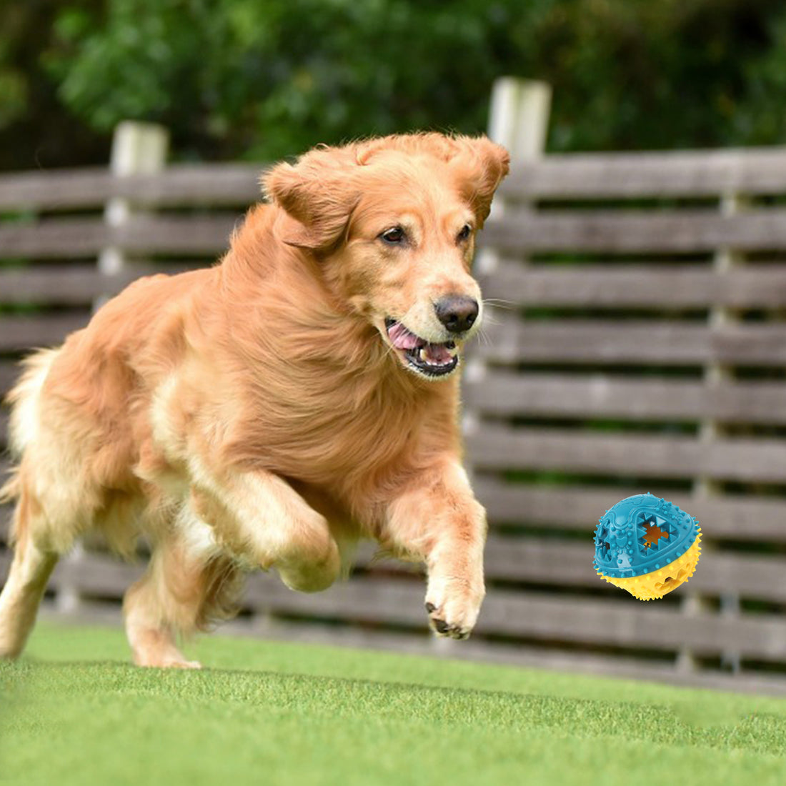 Interactive Pet Chew Ball Toy For Teeth Cleaning Training