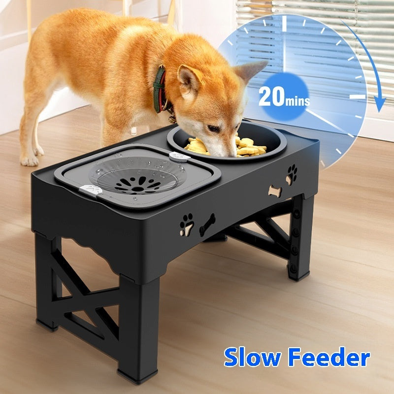 Stainless Steel Double Pet Feeder Bowl With Elevated Integrated Stand