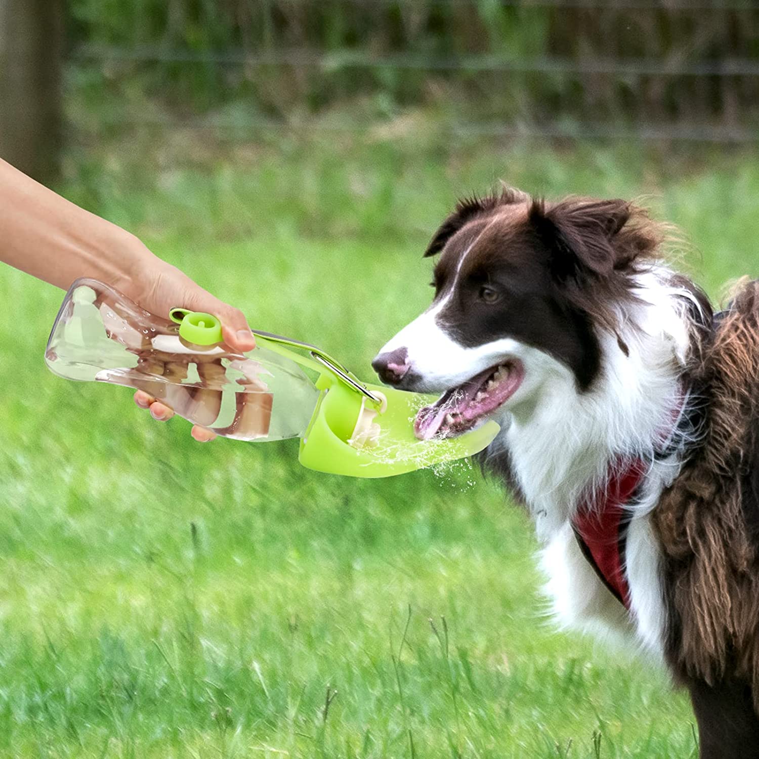 Portable Leak-Proof Pet Water Dispenser With Drinking Cup Bowl