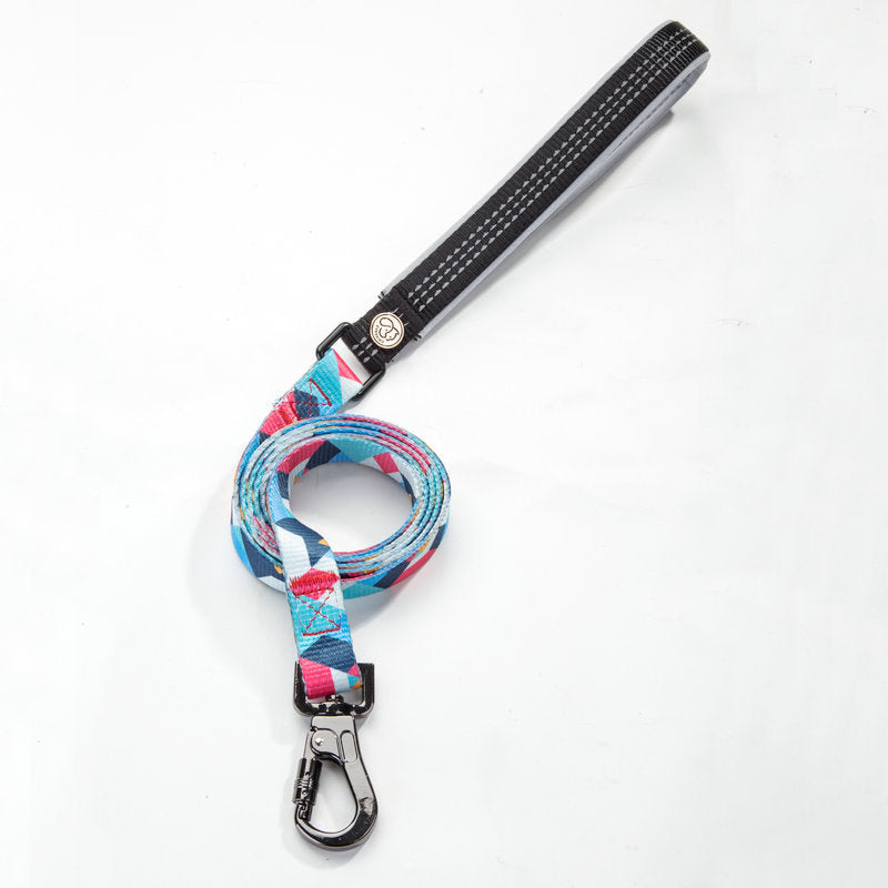 Pet Leash Durable Everyday Walking Accessory