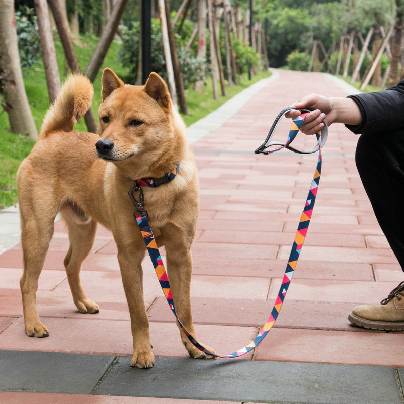 Pet Leash Durable Everyday Walking Accessory