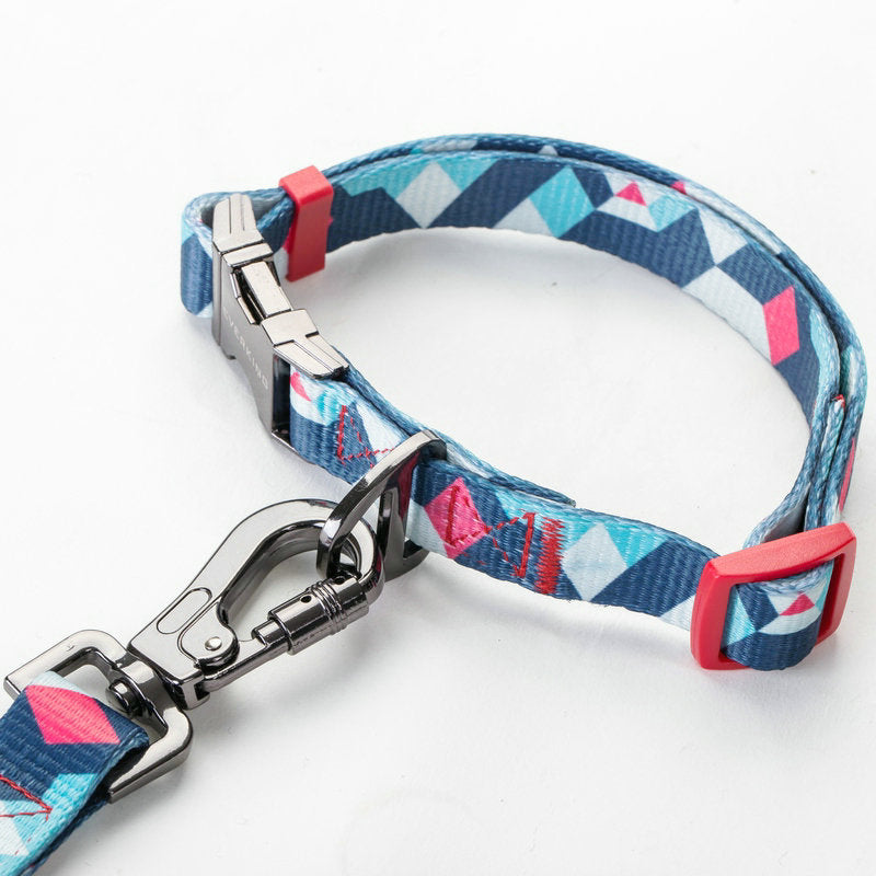 Pet Leash Durable Everyday Walking Accessory