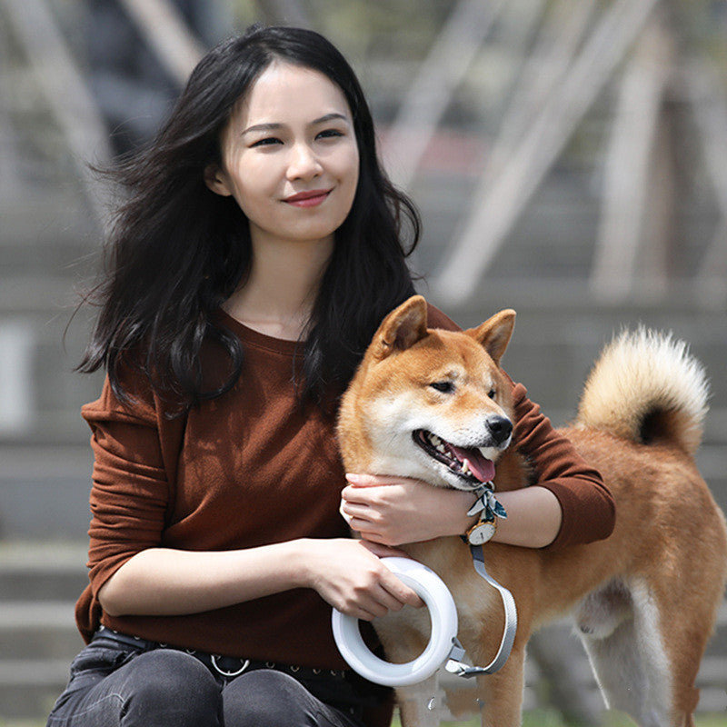 Retractable Pet Leash With Collar Durable Adjustable Walking Set