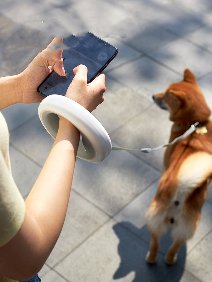 UFO Style Retractable Pet Leash For Small And Medium Sizes