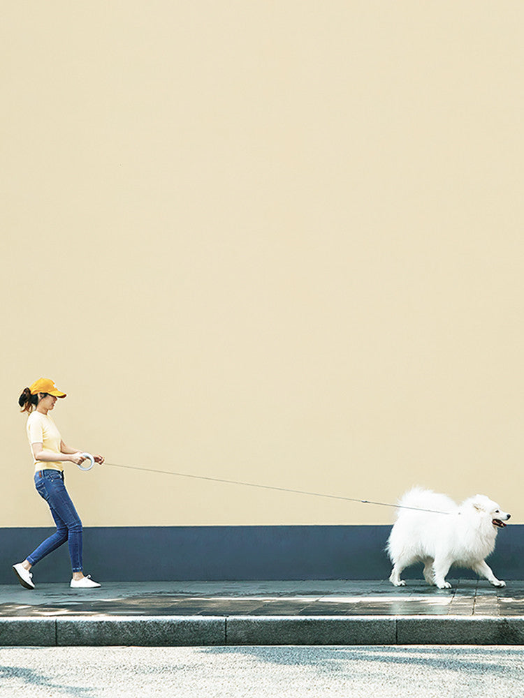 UFO Style Retractable Pet Leash For Small And Medium Sizes