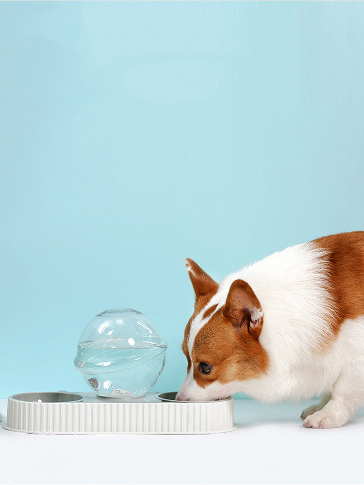 Automatic Plastic Pet Feeder And Water Bowl For Pets