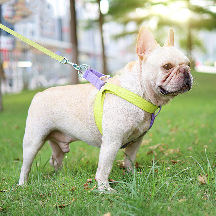 Colorful Pet Drawstring Leash Vest Style Harness Set
