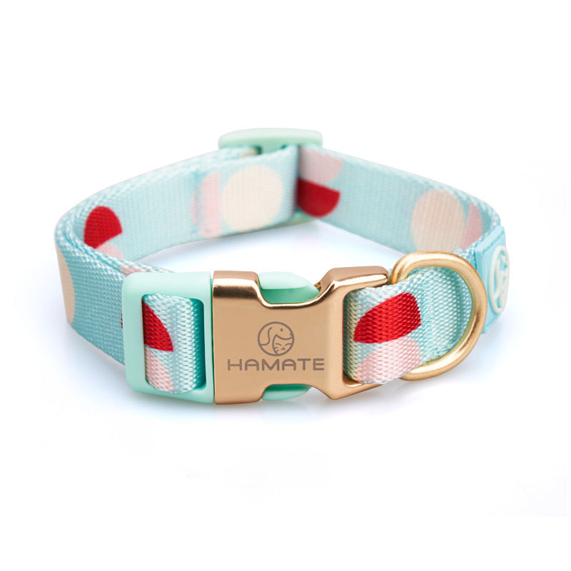 Fashionable Y Shaped Pet Harness With Leash Set