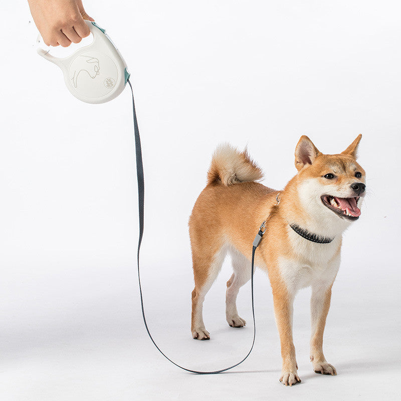 Retractable Pet Leash For Small Medium And Large Sizes
