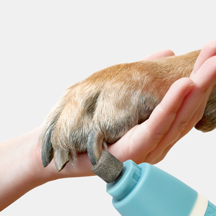 Dual-Purpose Pet Nail Polisher and Hair Trimmer Grooming Tool