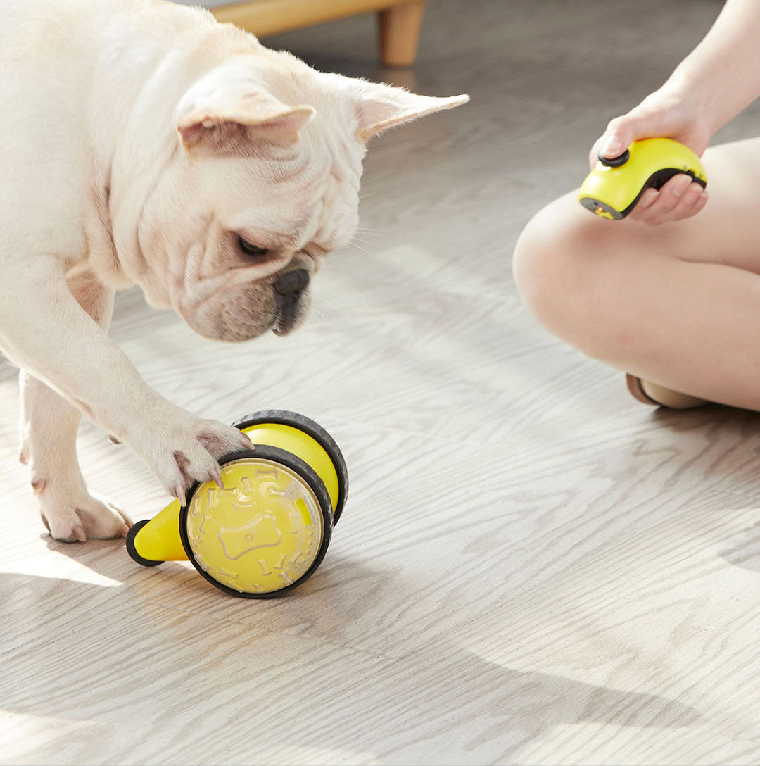 Remote Control Pet Treat Dispensing Toy Car