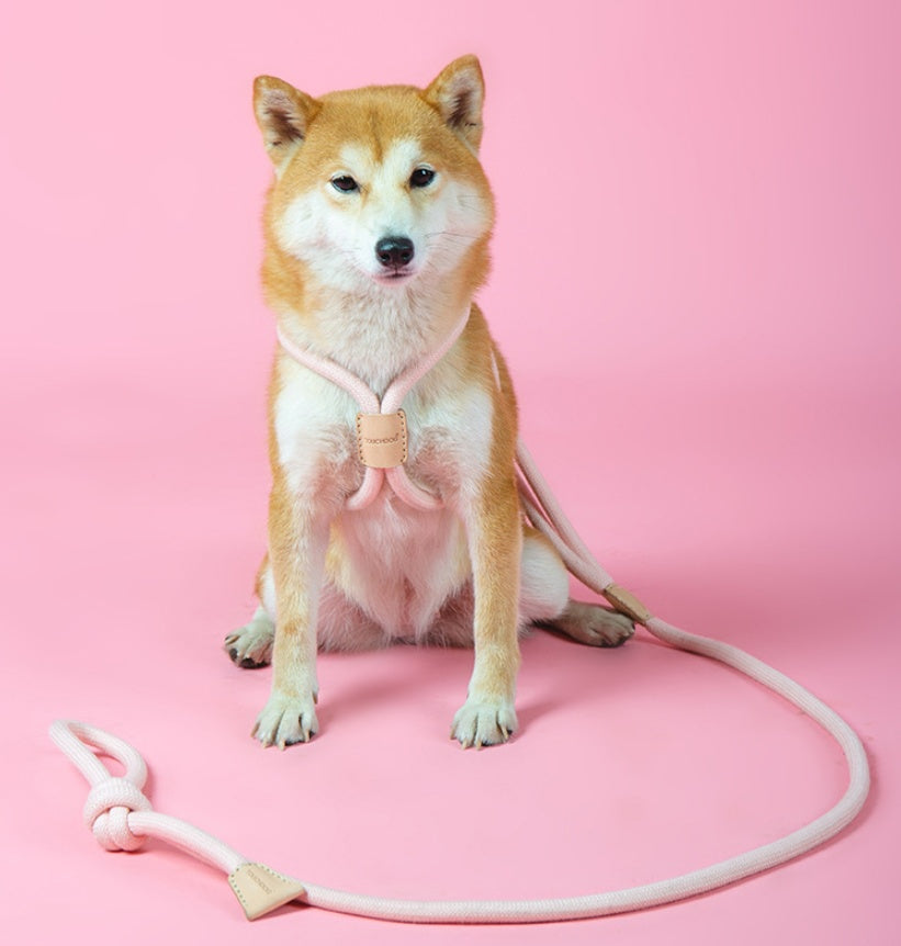 Dual Purpose Pet Leash Integrated Round Rope Design