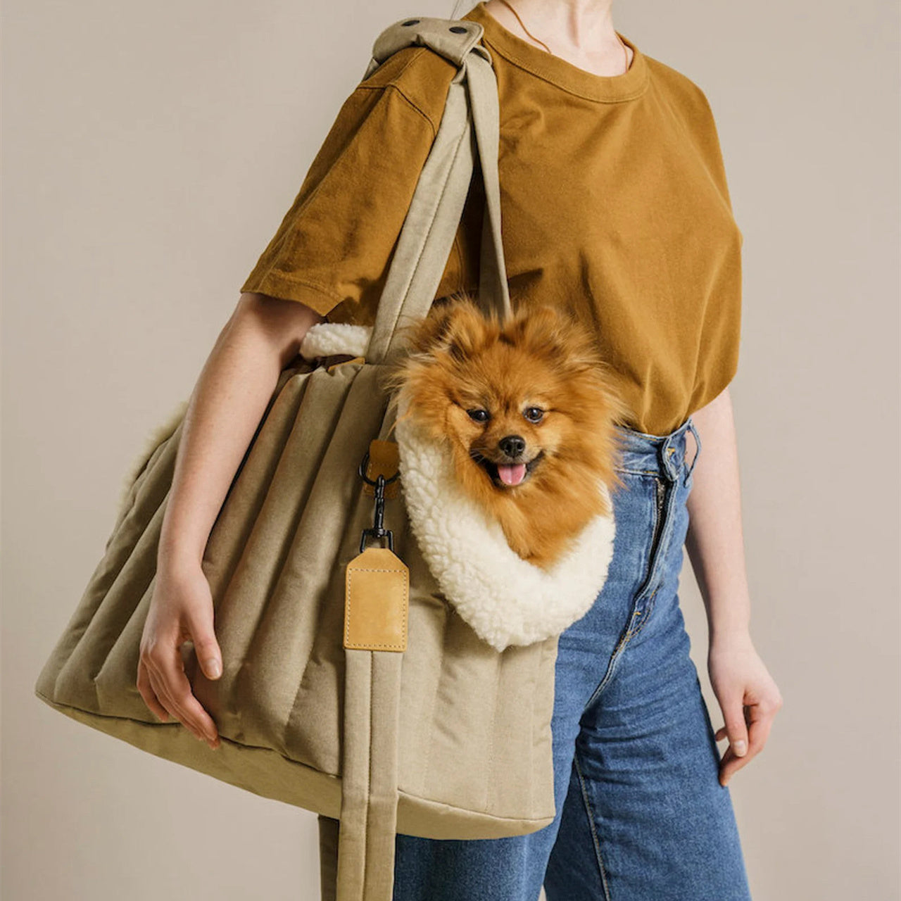 Waterproof Lightweight Pet Carrier Bag Portable Fashion Handbag