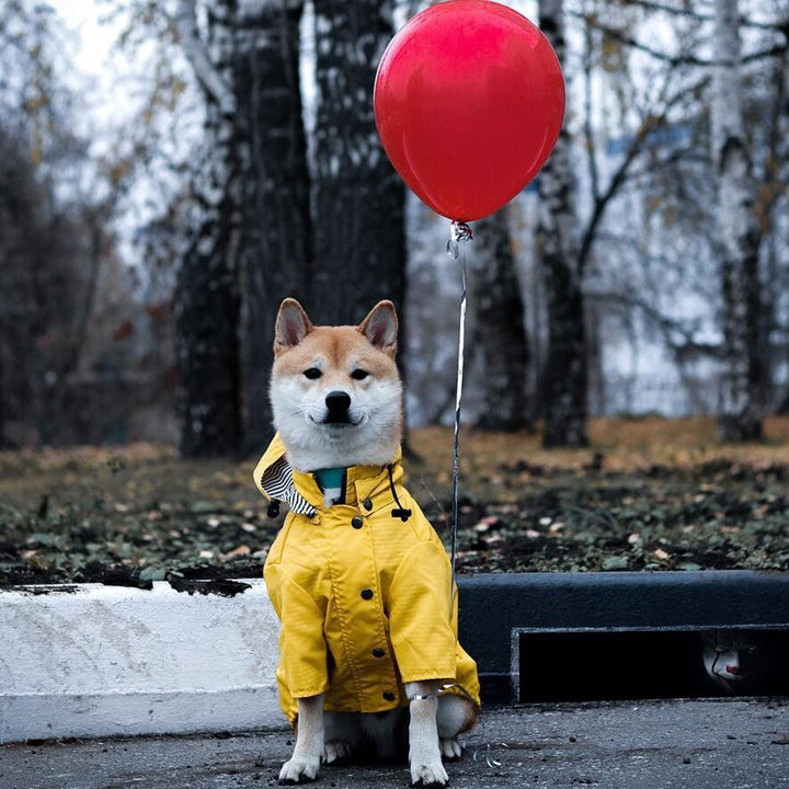 Waterproof Pet Raincoat Durable Lightweight All Weather Protective Wear