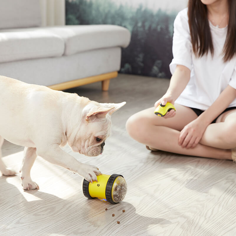 Remote Control Pet Treat Dispensing Toy Car