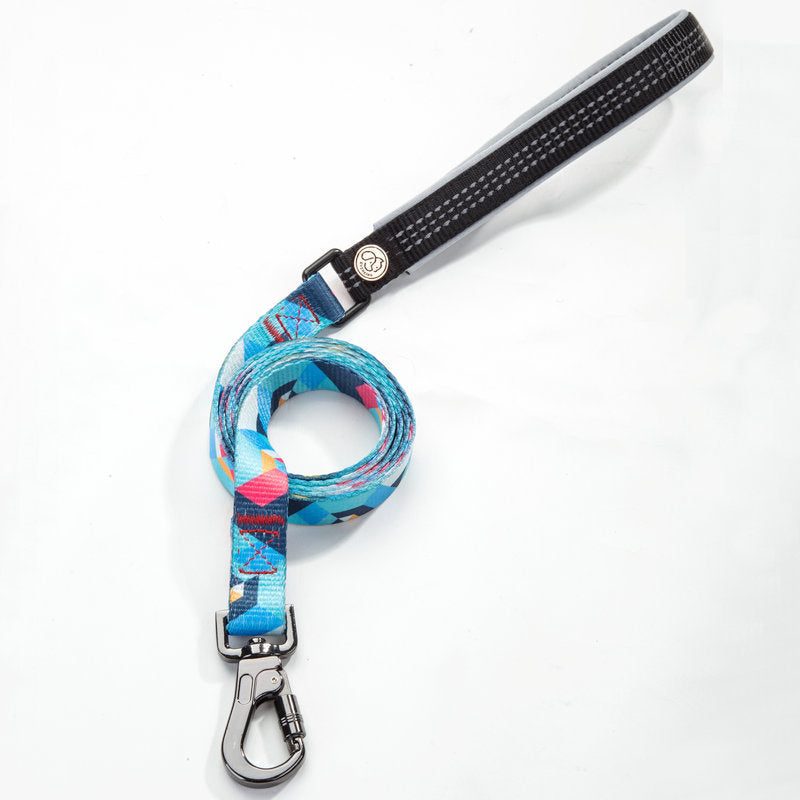 Pet Leash Durable Everyday Walking Accessory