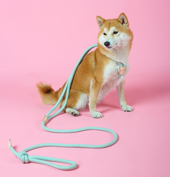 Dual Purpose Pet Leash Integrated Round Rope Design