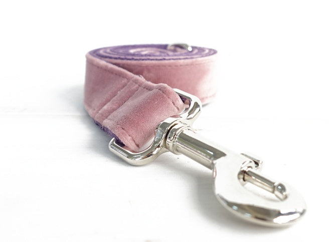 Pet Collar And Leash Set For Daily Walking