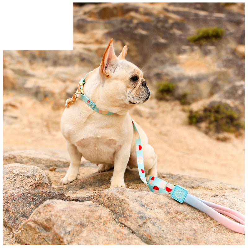 Fashionable Y Shaped Pet Harness With Leash Set