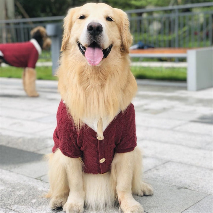 Pet Cardigan Style Two Piece Design Comfortable Stylish Clothing