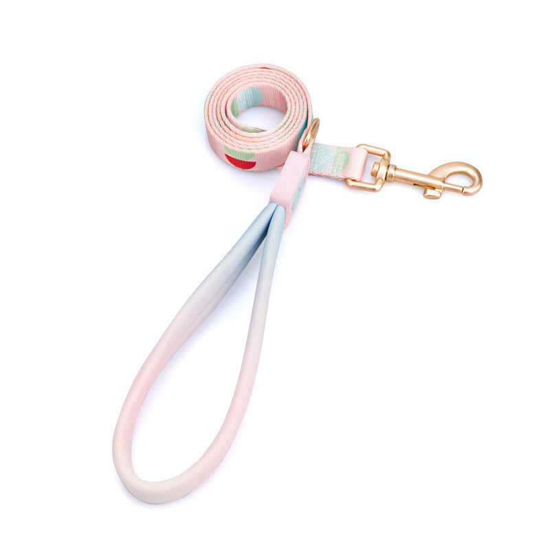 Fashionable Y Shaped Pet Harness With Leash Set