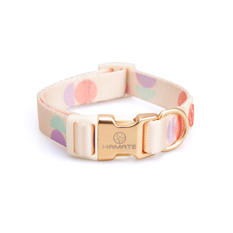 Fashionable Y Shaped Pet Harness With Leash Set