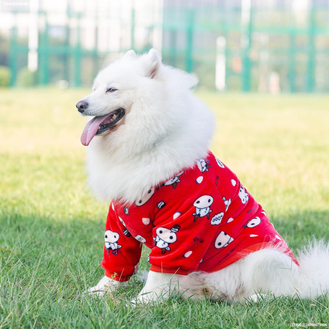 Pet Transformation Dress Fashionable Stylish Comfortable Special Occasion Clothing