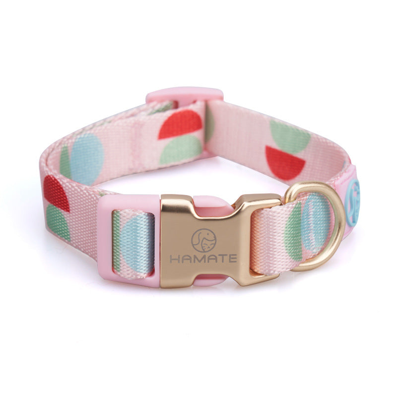 Fashionable Y Shaped Pet Harness With Leash Set
