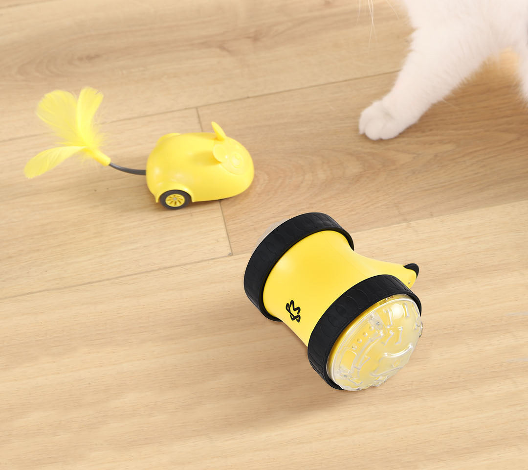 Remote Control Pet Treat Dispensing Toy Car