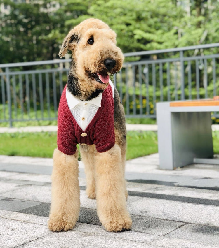 Pet Cardigan Style Two Piece Design Comfortable Stylish Clothing