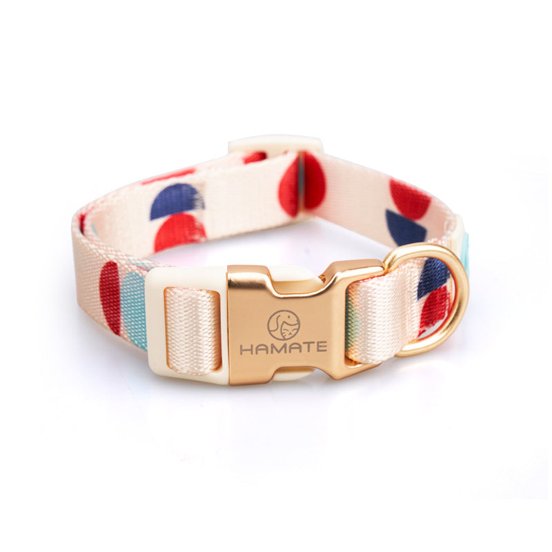 Fashionable Y Shaped Pet Harness With Leash Set